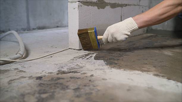 SJ Waterproofing Pros Waterproofing coverage map for Westville, IL and surrounding area